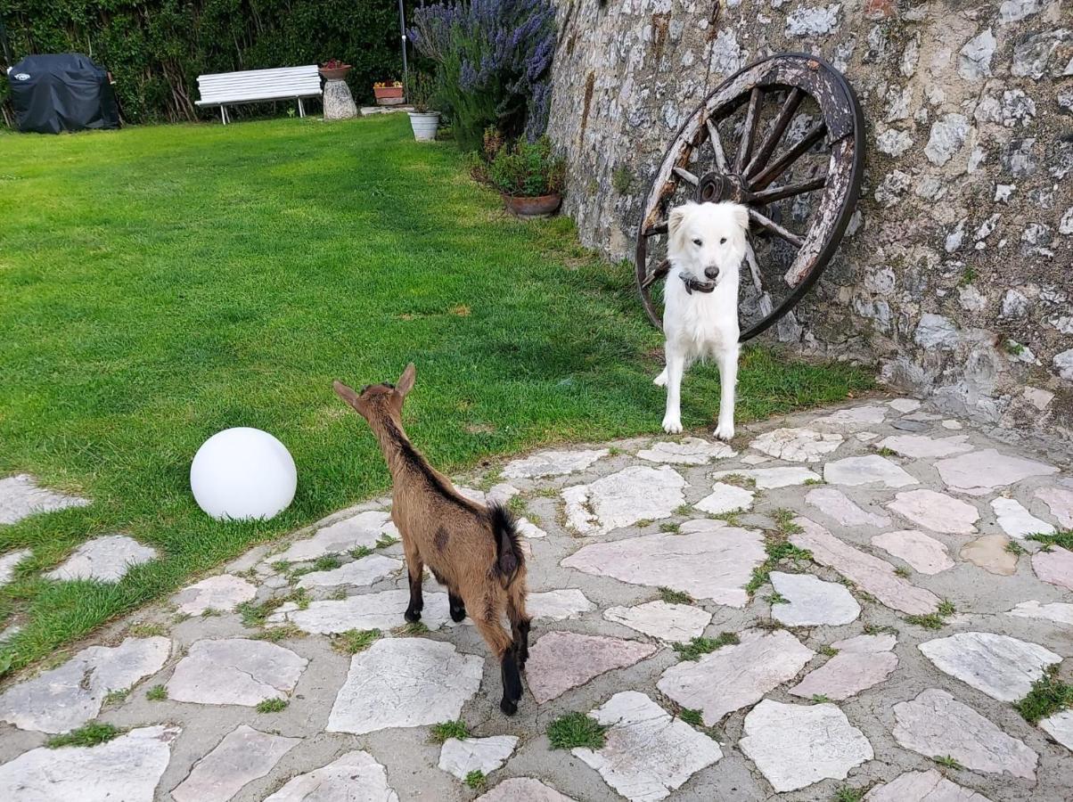 Agriturismo Campagna In Compagnia Vallo di Nera Exterior foto